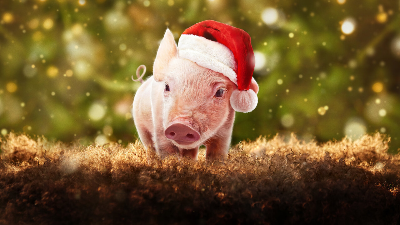 Watch Nosso Natal na Fazenda | Netflix Official Site