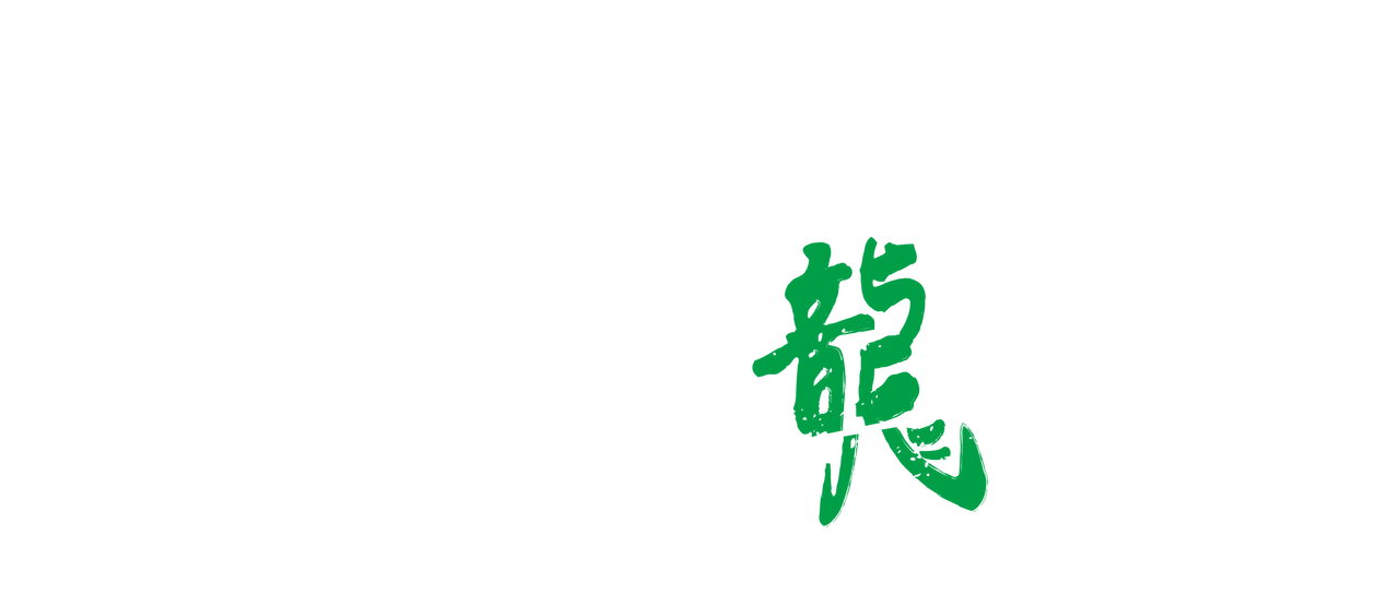 飛龍 