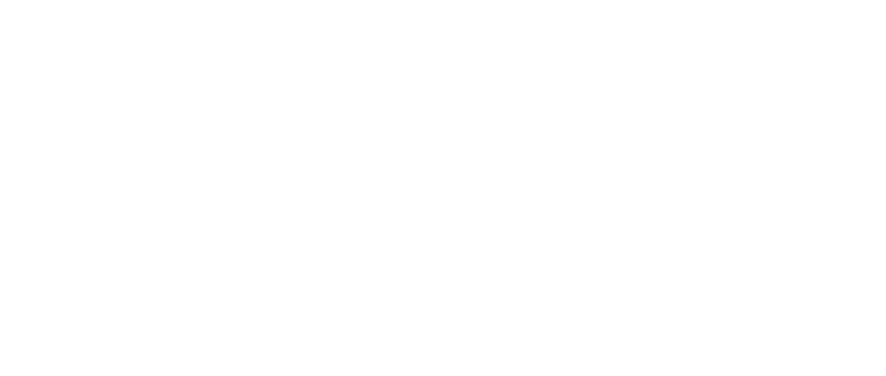 Us marshals watch online sale